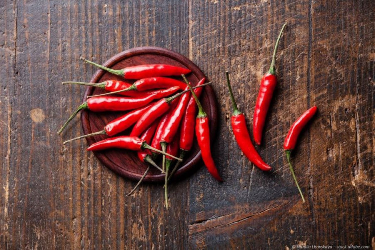 Cayennepfeffer gemahlen kaufen, scharfes Chili Gewürz für Fleisch, Saucen und würzige Küche