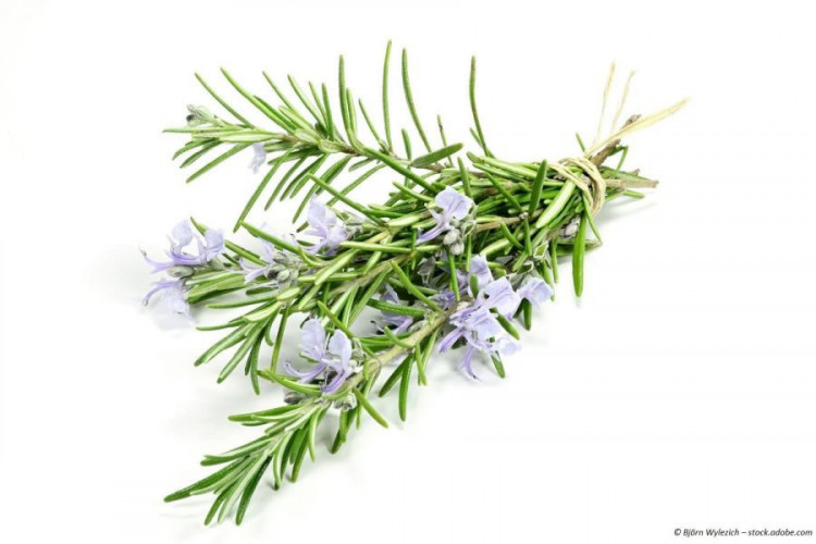 Rosmarin getrocknet geschnitten kaufen, aromatisches Kräuter Gewürz für Fleisch Gemüse und Kartoffeln
