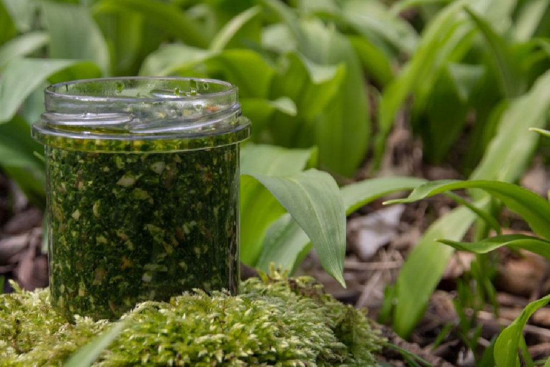 Getrockneter Bärlauch für intensives Aroma in deinen Gerichten