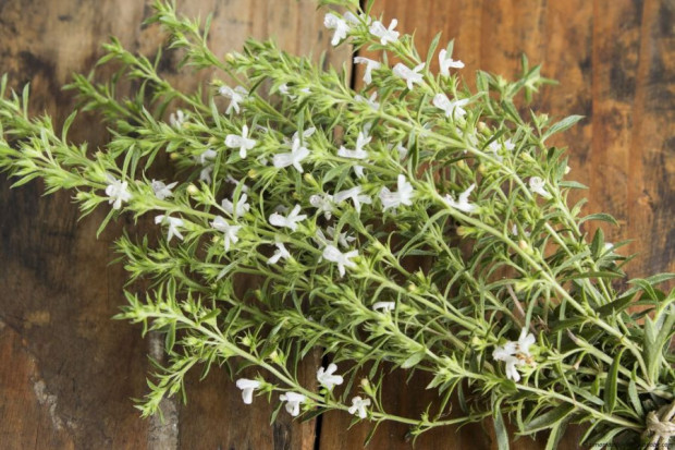 Bohnenkraut gerebelt, aromatisch, online kaufen, im Onli