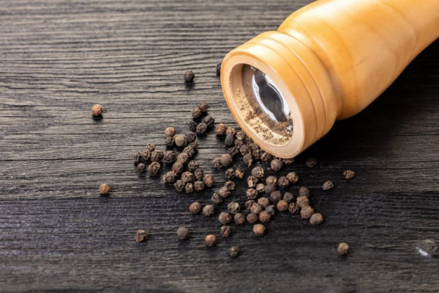 Schwarzer Pfeffer ganz kaufen – intensives Aroma für deine Küche