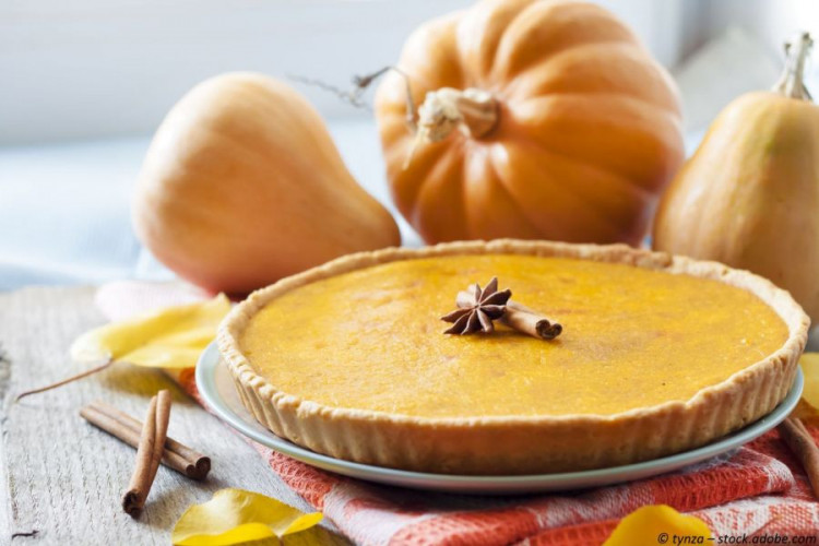 Pumpkin Spice kaufen herbstliche Gewürzkomposition für Latte