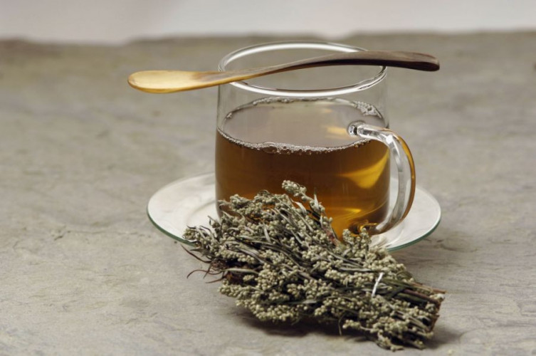 Beifuß geschnitten kaufen aromatisches Kraut für Küche und Tee