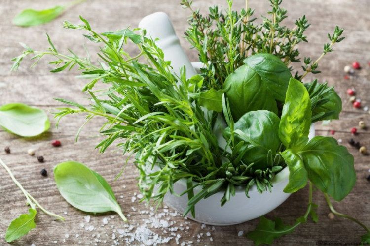 Italienische Kräuter kaufen aromatische Kräuterwürze für Pasta Pizza
