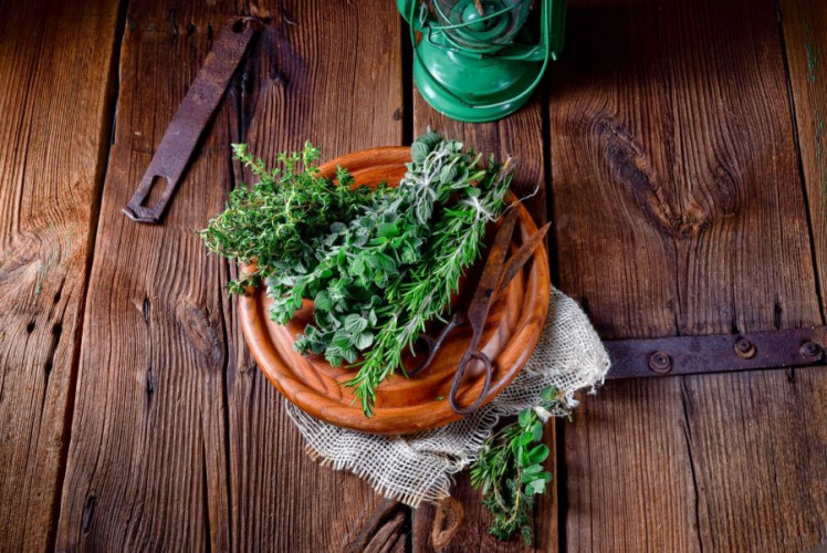 Italienische Kräuter kaufen aromatische Kräuterwürze für Pasta Pizza