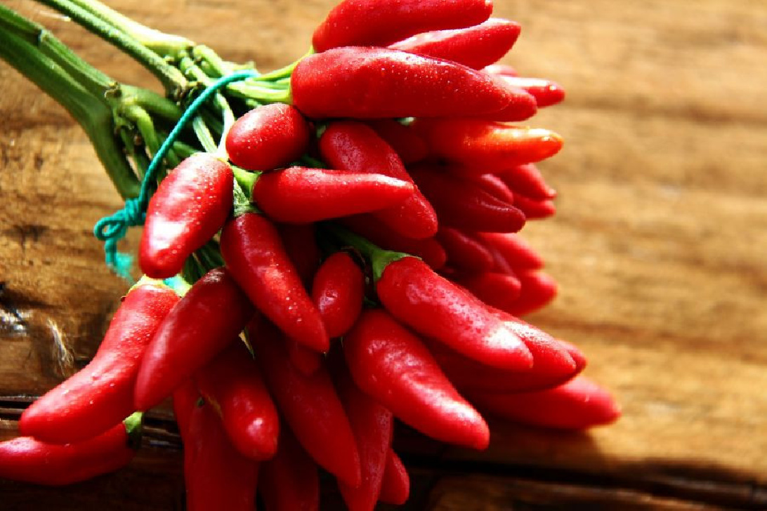 Chilischoten feuerscharf, getrocknet – Feurige Schärfe für deine Gerichte