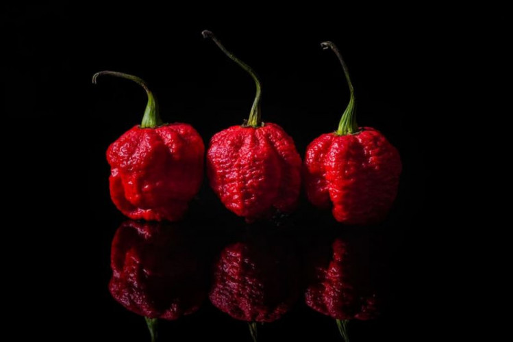Carolina Reaper Chili gemahlen kaufen extrem scharfes Gewürz 2200000 Scoville