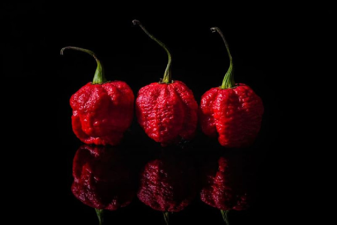Carolina Reaper Chili kaufen – Schärfste Gewürze bei uns