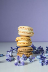 Bourbon Vanille Samen – Edles Aroma für Feinschmecker