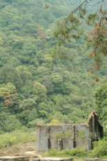 Entdecke die Geschmacksvielfalt: Malabar Pfeffer aus Indien