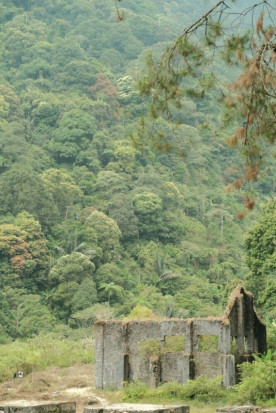 Entdecke die Geschmacksvielfalt: Malabar Pfeffer aus Indien