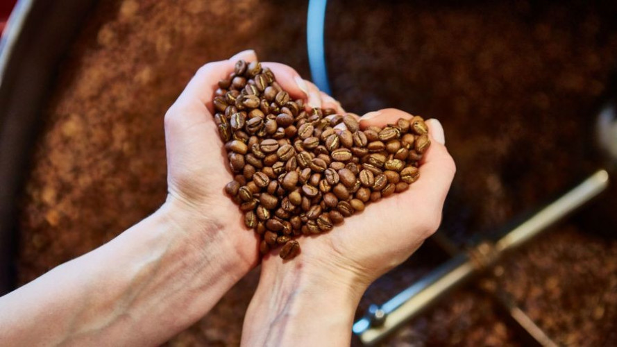 Erotic starke Kaffeebohnen kaufen frisch geröstet intensiver Kaffee für Espresso und Genuss