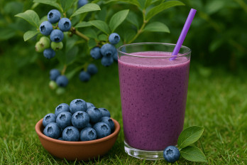 Blaubeeren Pulver, Blaubeerpulver, Heidelbeerenpulver