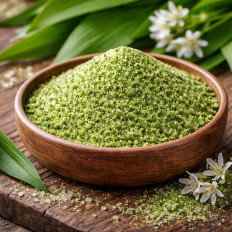 Erotic Bärlauchsalz fein kaufen, aromatisches Salz mit Bärlauch für Küche