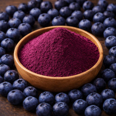 Blaubeeren Pulver kaufen fruchtiges Blaubeerpulver für Smoothies Joghurt Backen und Desserts