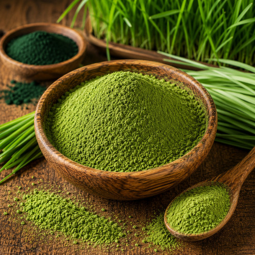 SUPER GREEN Green Smoothie Powder kaufen, grünes Pulver mit Weizengras Gerstengras Spirulina