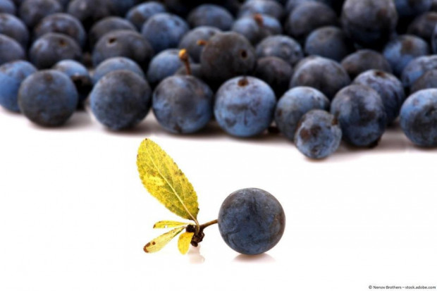 Acai Beeren Pulver, aus echten Beeren hergestellt