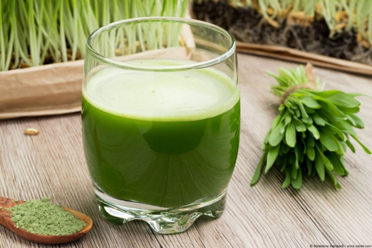 Gersten--gras Pulver kaufen - fein gemahlen für Smoothies Shakes und Küche