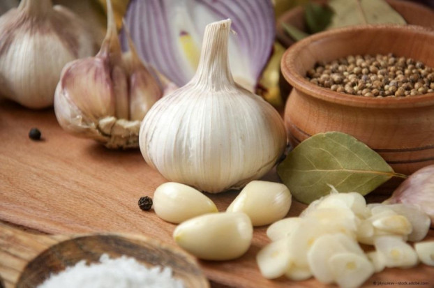 Ingwer Knoblauch Salz mediterran für Fleisch, Fisch und Gemüse