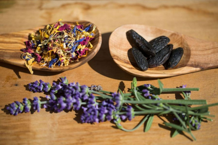 Tonka Bohnen ganz kaufen aromatisch für Desserts und feine Küche