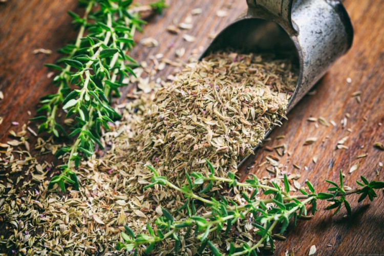 Thymian gerebelt kaufen aromatisch würzig für Fleisch Gemüse Saucen und Küche