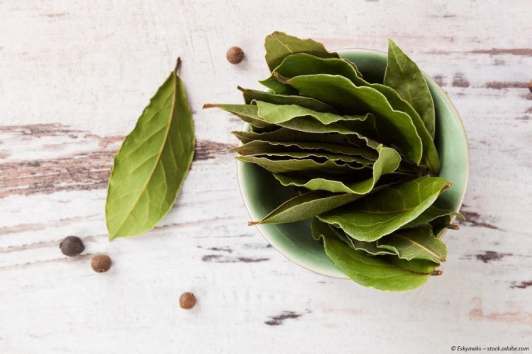 Lorbeerblätter getrocknet kaufen, aromatisches Gewürz für Suppen, Eintöpfe und Fleisch