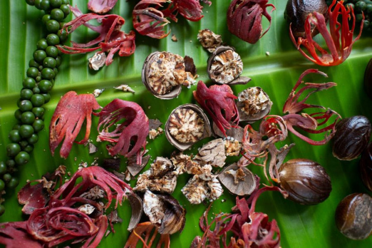 Muskatblüte ganz kaufen Macis ganz aromatisch für Küche Backen und feine Gerichte