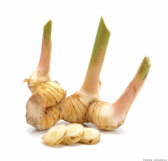 Galgant gemahlen kaufen, würzig-aromatisches Gewürz für Eintöpfe und Saucen