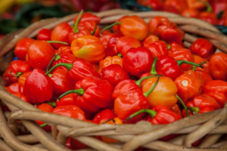 Habanero Chili Pulver El Diablo extra scharfes Chili Gewürz Red Savina Art kaufen