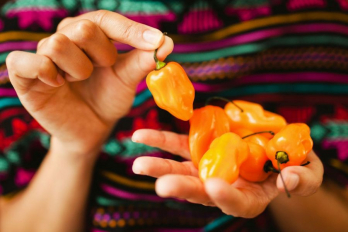 El Diablo - Habanero Chili Pulver, gemahlene Habanerochili