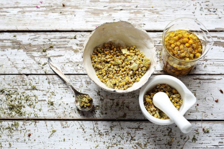 Kamille kaufen Kamilleblüten für Kamillentee aromatisch und vielseitig verwendbar