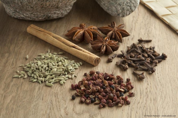 Fünf-Gewürze-Pulver, 5-Gewürz, Five Spice, chinesisch