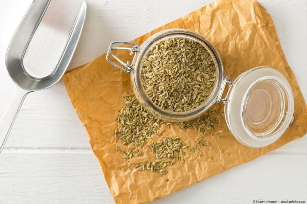 Fenchel Samen ganz, für Tee oder zum kochen