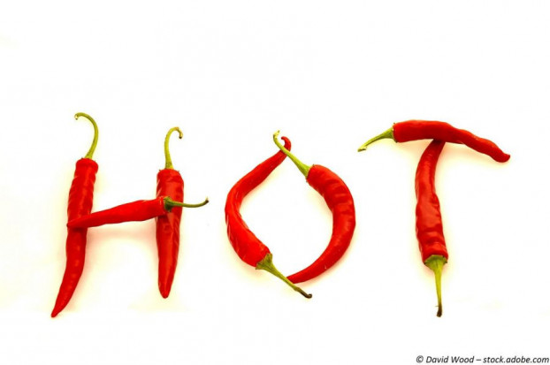 Paprika geräuchert scharf, Pimenton de la Vera Picante, smokey paprika