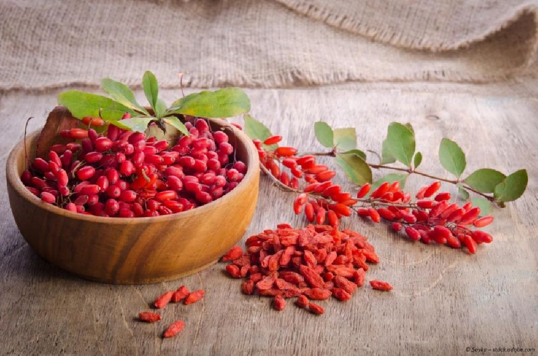 Goji Beeren