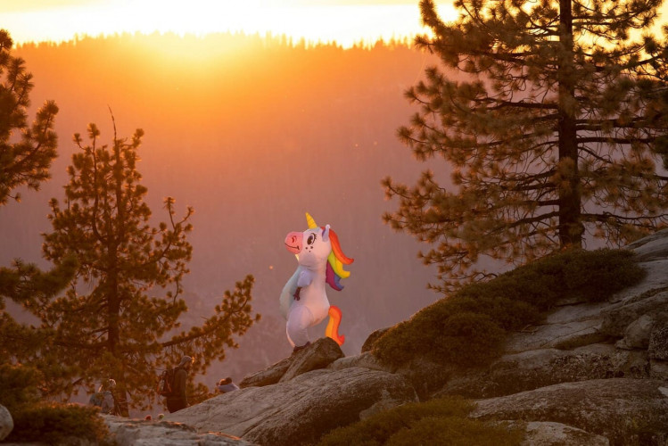 Einhornys