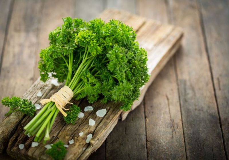 4. Bild von Petersilie gerebelt, rein und hoch-aromatische Petersilienblätter geschnitten